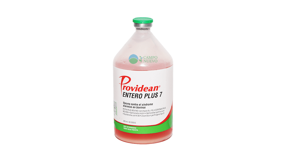 Entero Plus 7 Diarrea Neonatal | Camponuevo | Camponuevo