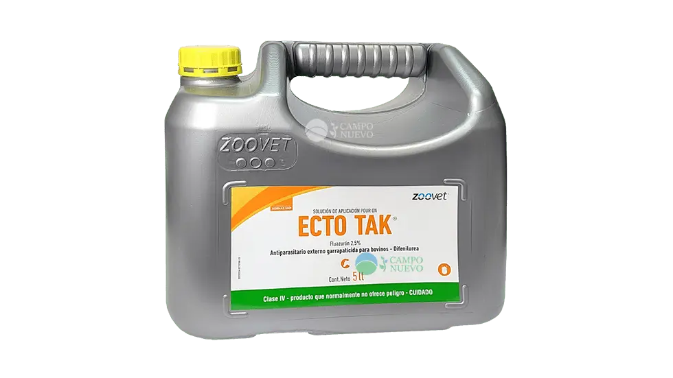 Ecto Tak