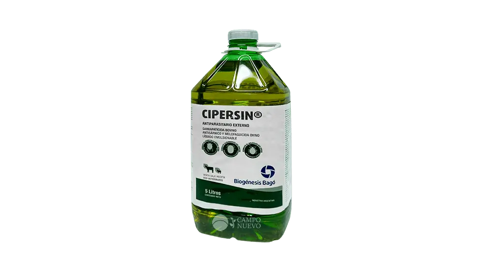 Cipersin