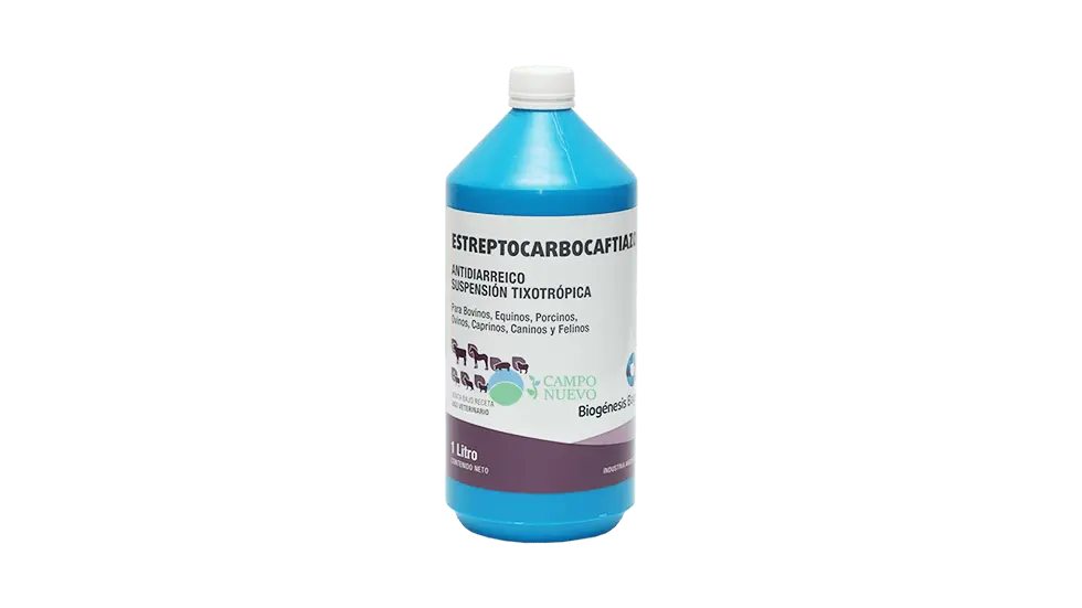 Estreptocarbocaftiazol