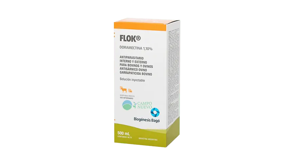 Flok