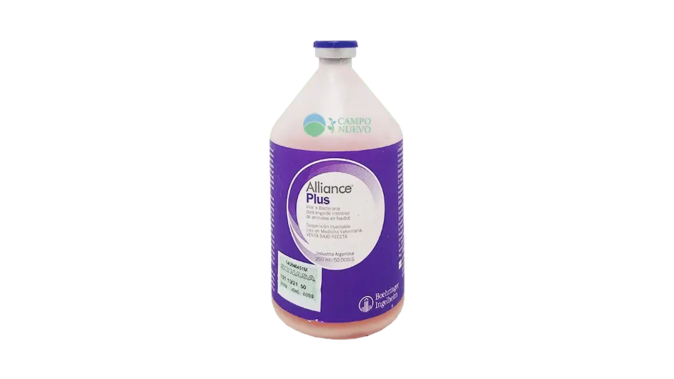 Alliance Plus