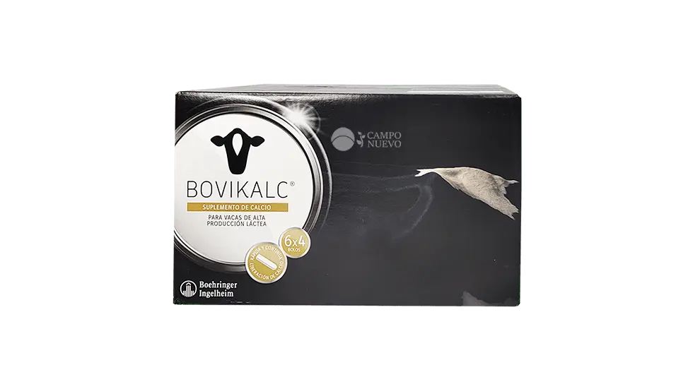 Bovikalc