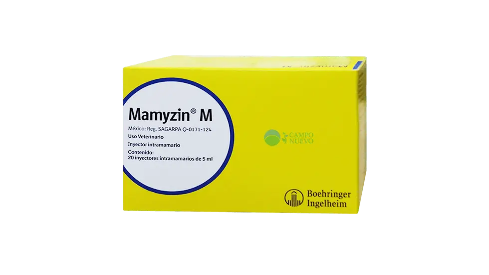Mamyzin M 