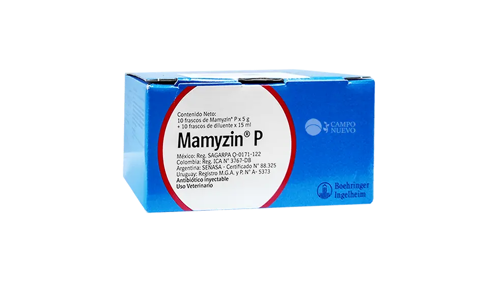 Mamyzin P