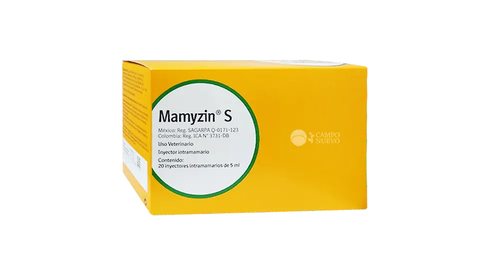 Mamyzin S