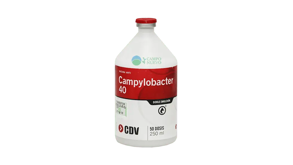 Campylobacter 40