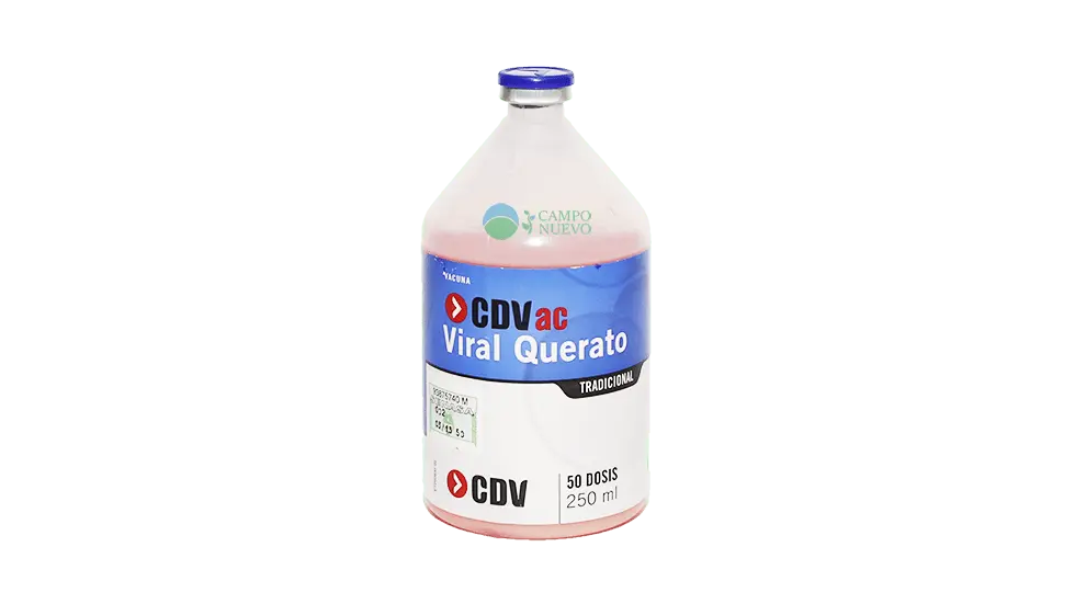 Viral Querato