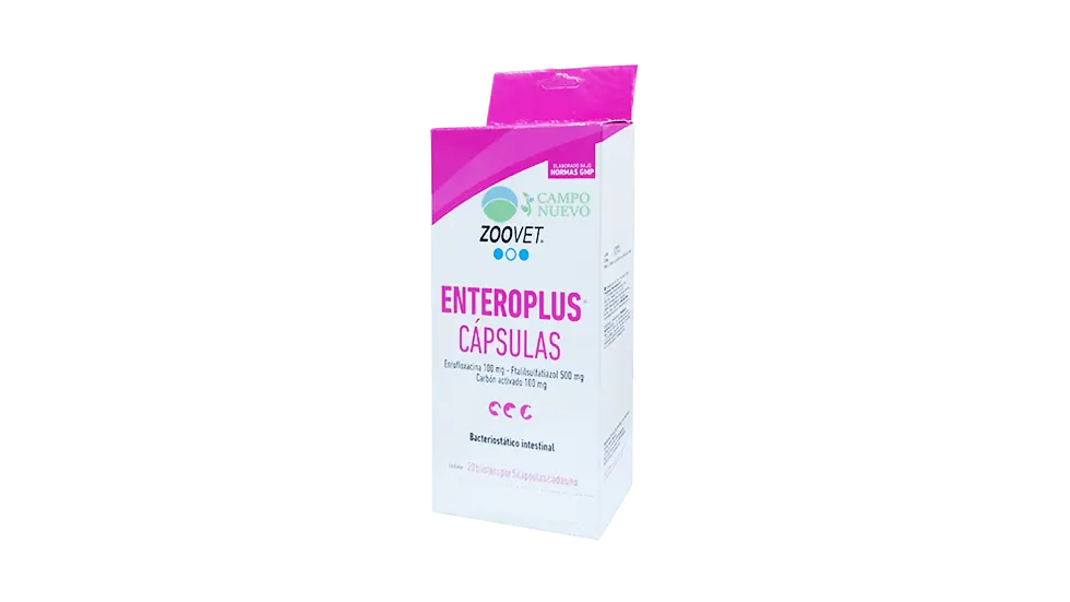 Entero Plus Capsulas