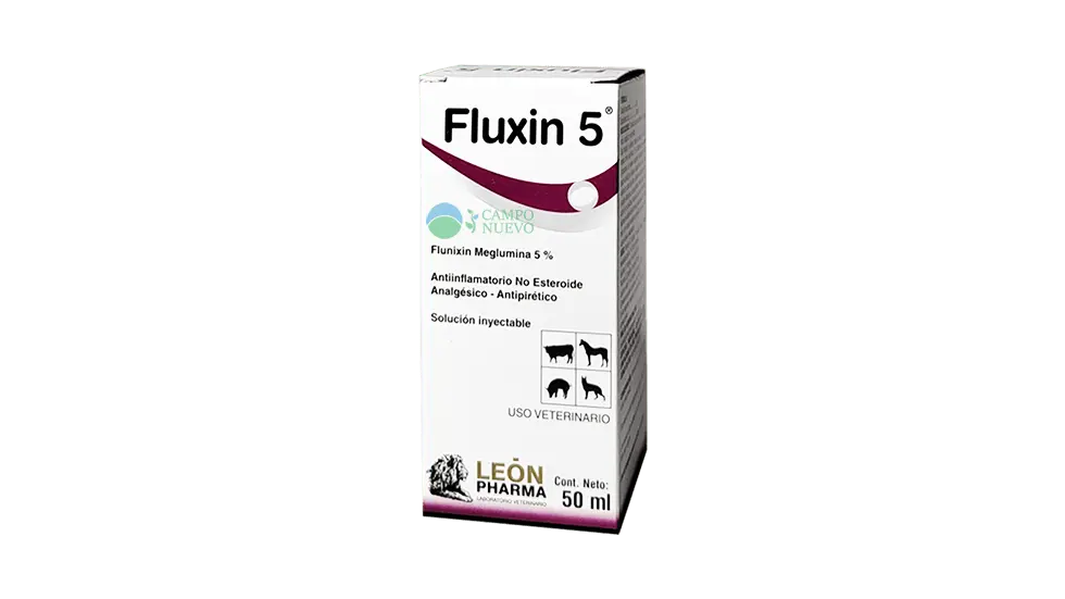 Fluxin 5