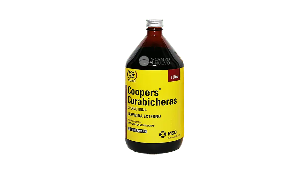Curabicheras Coopers