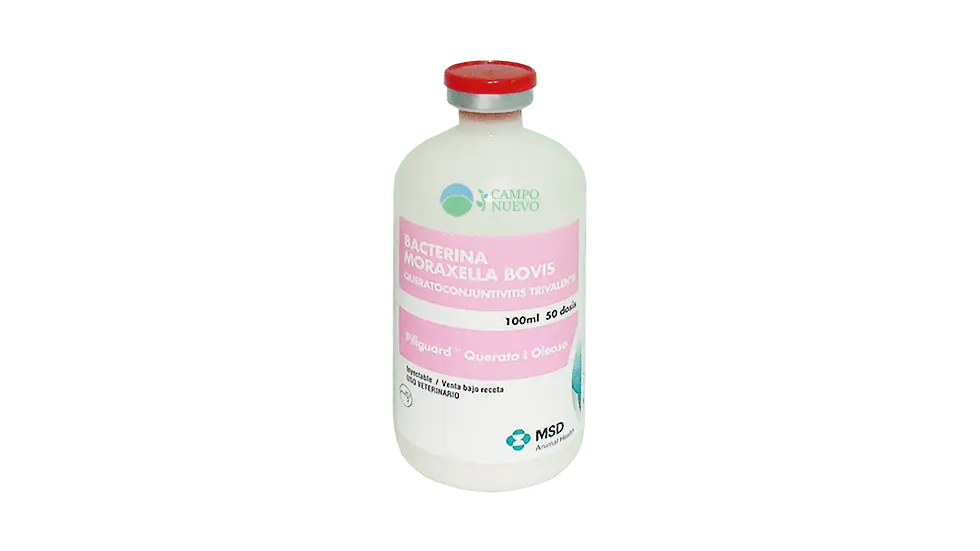 Piliguard Moraxella bovis trivalente 