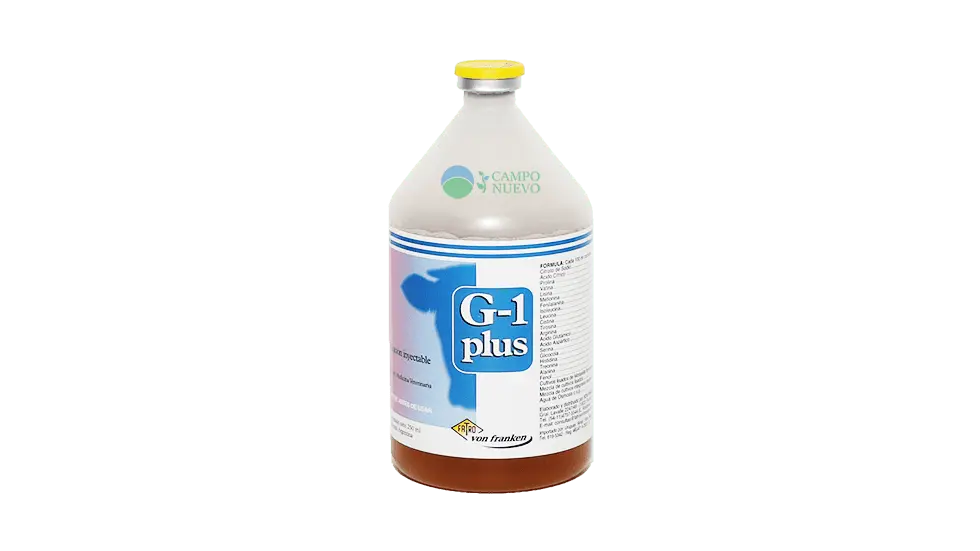 G1 plus