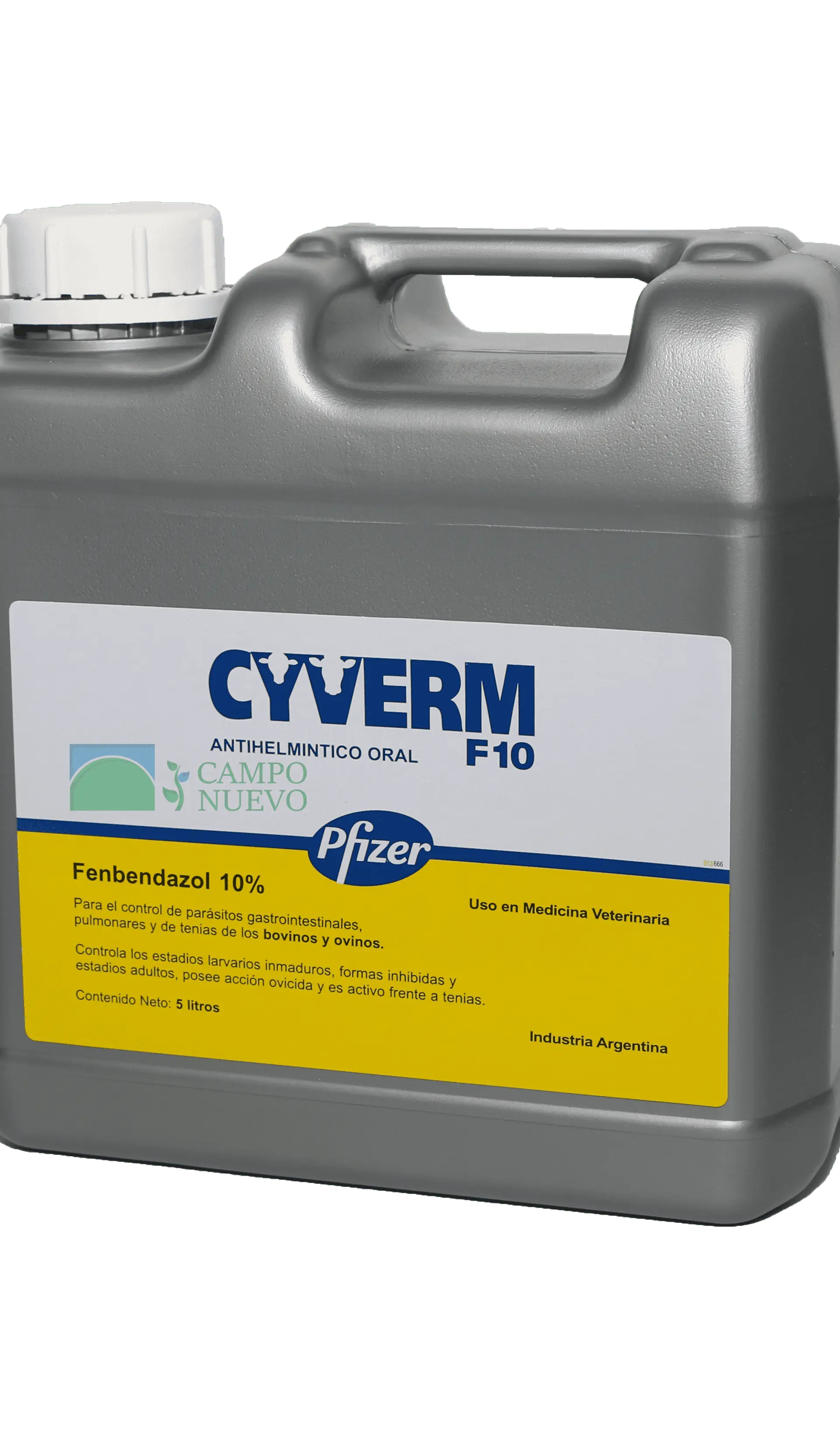 Cyverm F-10