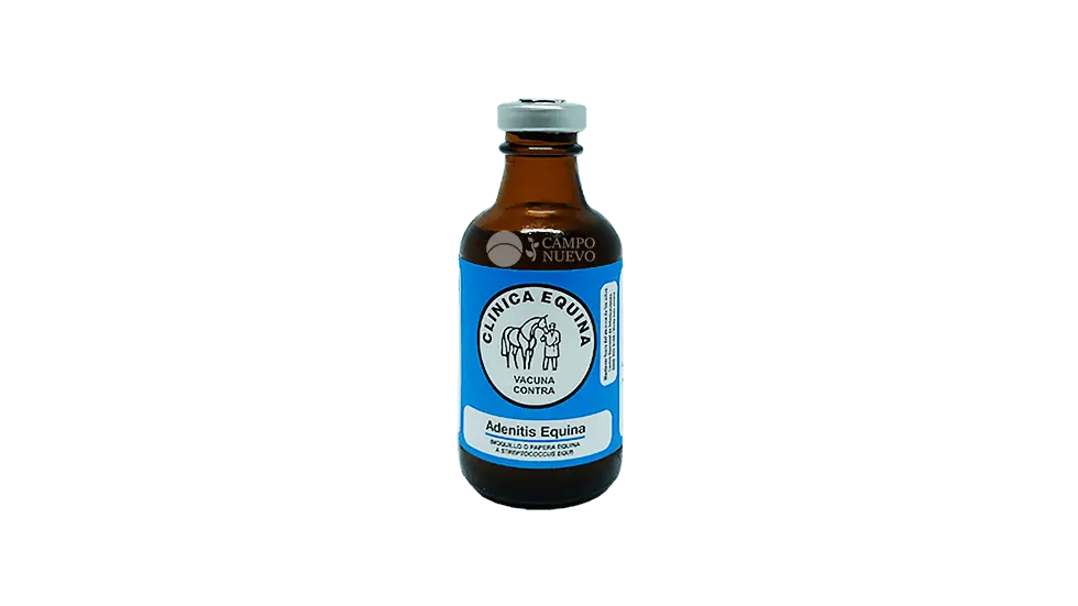 Adenitis Equina Clinica Equina