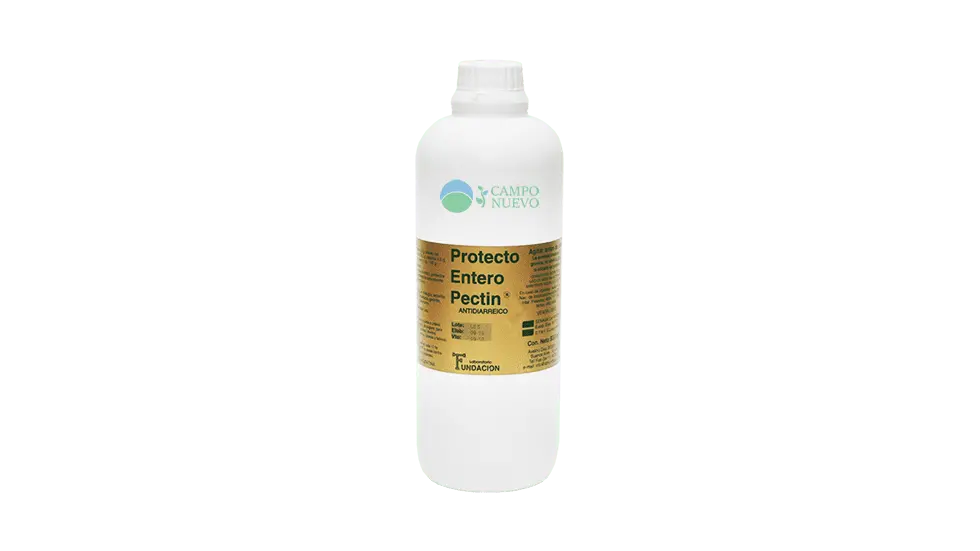 Protecto Entero Pectin Fundacion