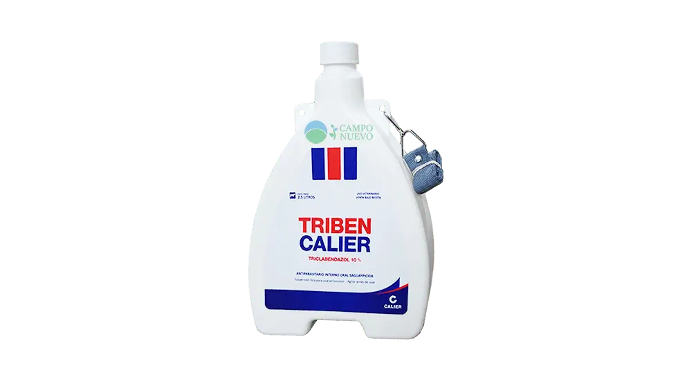 Triben Calier