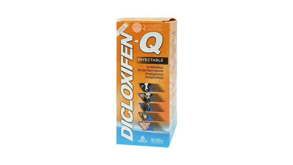 Dicloxifen Q Ario Q