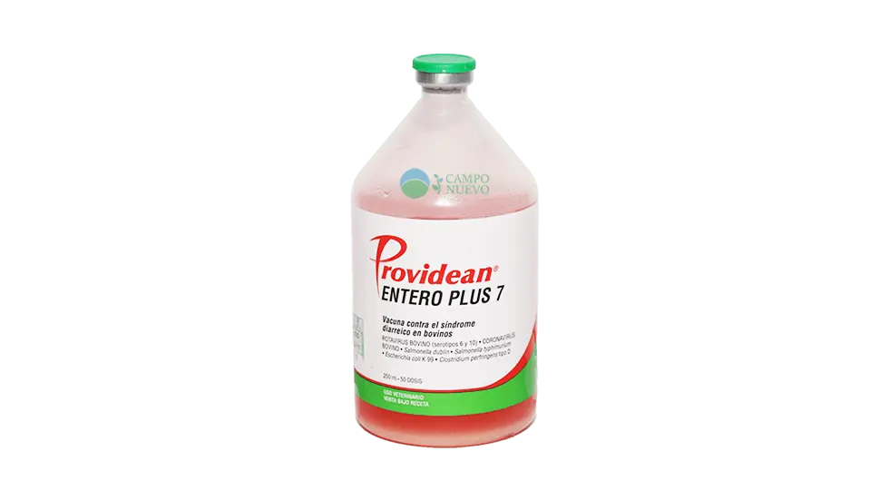 Entero Plus 7 Diarrea Neonatal