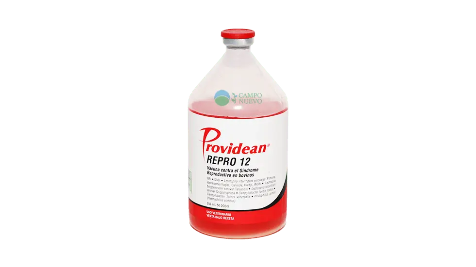 Repro 12 