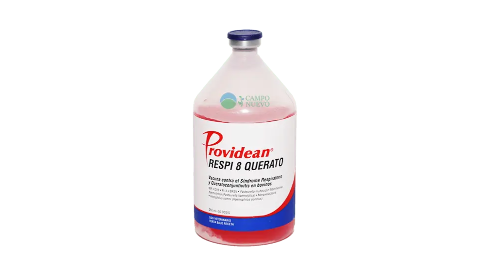 Respi 8 Querato