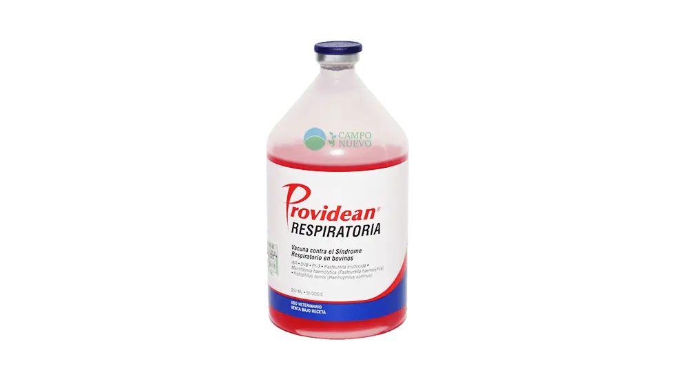 Respiratoria