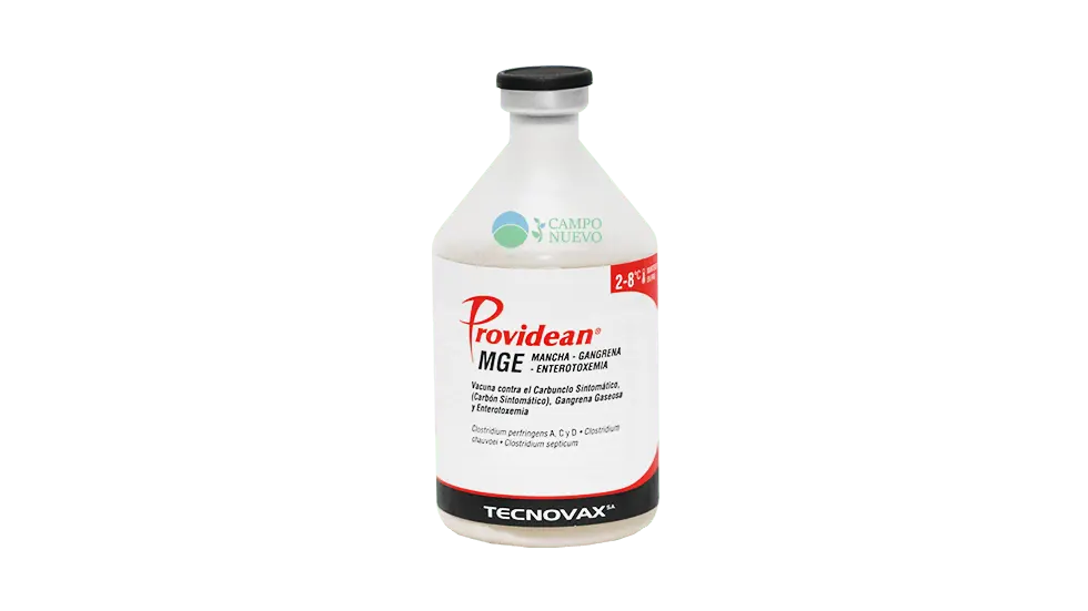 Triple Mancha, Gangrena y Enterotoxemia 