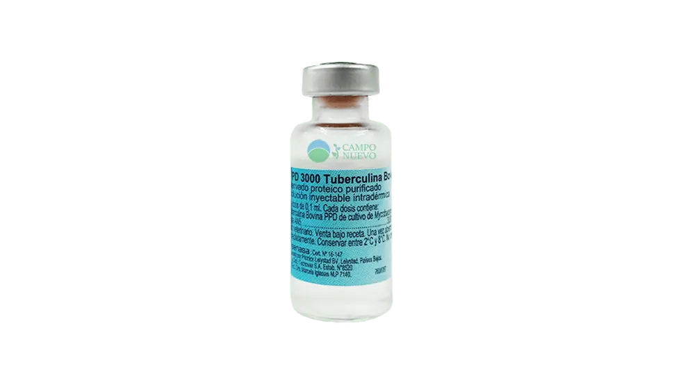Tuberculina