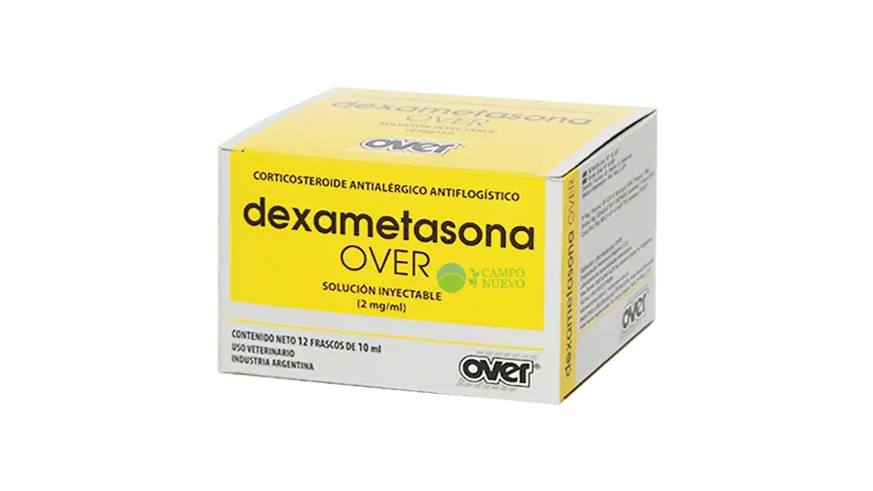 Dexametasona 
