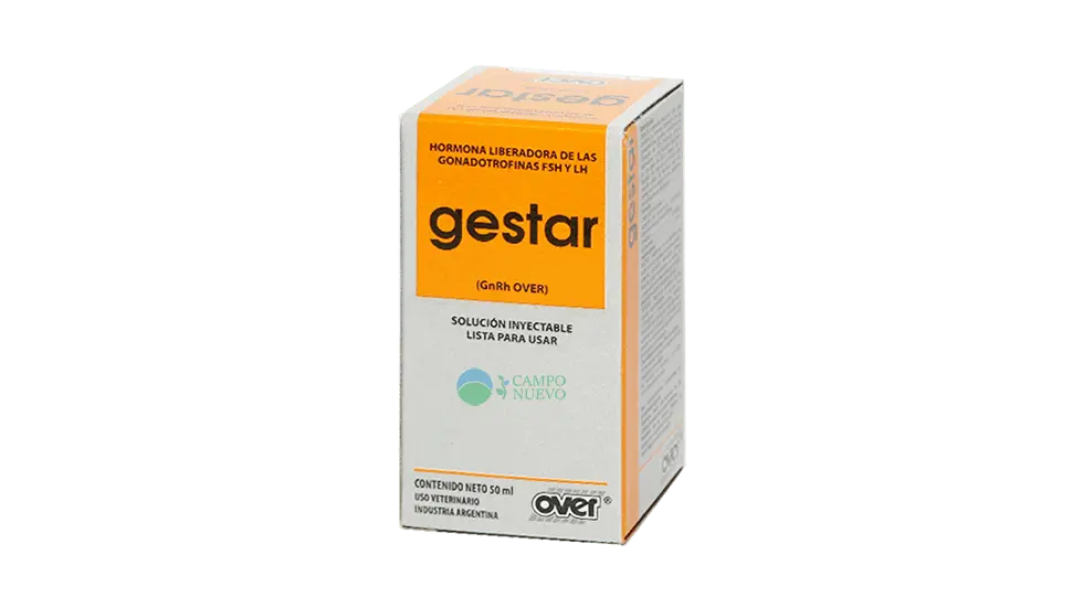 Gestar