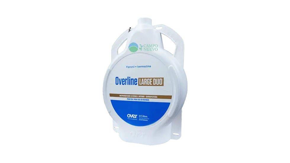 Overline Large Duo