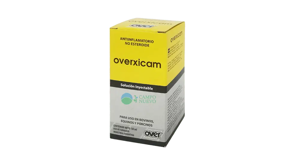 Overxicam
