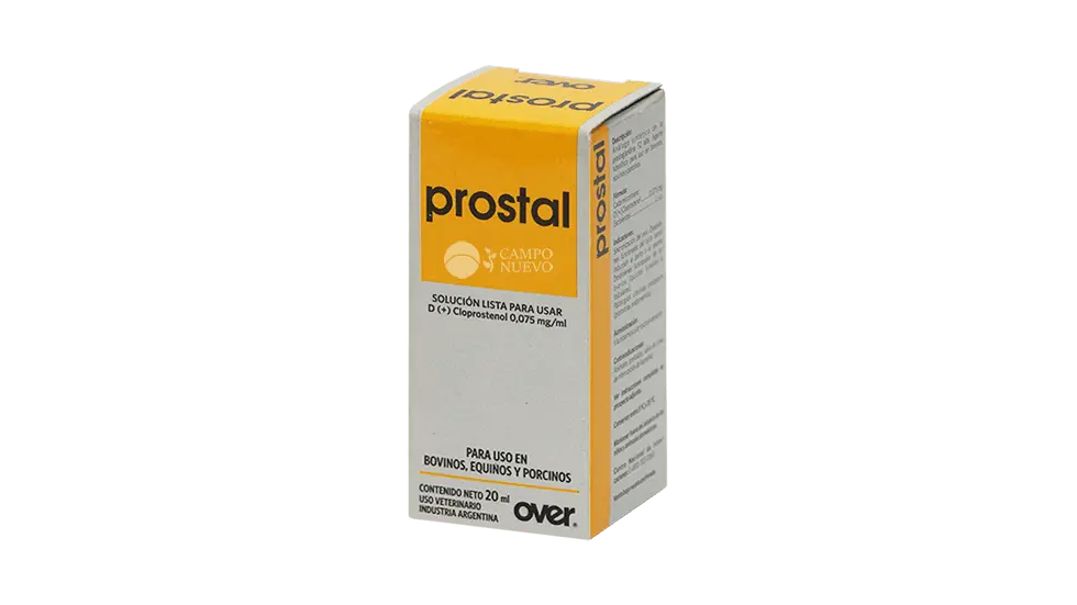 Prostal
